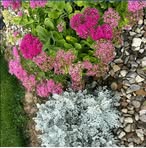 Nancy Fauser - Facebook