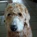 Nancy Fee - Facebook