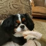 Nancy Feeney - @nancy12641 - Instagram