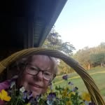 Nancy Feeney - @geeze1943 - Instagram