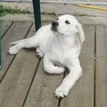 Nancy Feick - @nancy_feick - Instagram