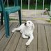 Nancy Feick - Facebook