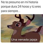 Nancy Felipe - @nancyfelipe61 - Instagram