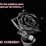 Nancy Ferro - @nancy_elizabeth038 - Instagram