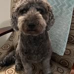 Nancy Ferrone - @nancy.ferrone.77 - Instagram