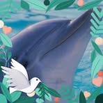 Nancy Fifield - Facebook