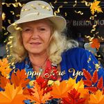 Nancy Finkle - @finklenancy - Instagram