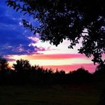 Nancy Finnerty - @nancyfinnerty - Instagram