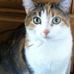 Nancy Finnerty - Facebook