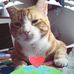 Nancy Fishburn - Facebook