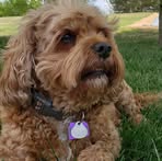 Nancy Flatt Wright - Facebook