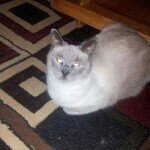 Nancy Flemming - @bancroftlady2 - Instagram