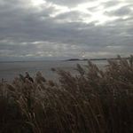 Nancy Flemming - @nrkrott - Instagram