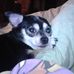 Nancy Flickinger - Facebook