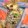 Nancy Flint - @nancy.flint0 - TikTok
