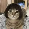 Nancy Flint - @nancyflint7200 - TikTok