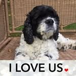 Nancy Flory - @minnow011 - Instagram