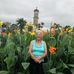 Nancy Fogleman - Facebook