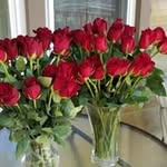 Nancy Forker - @nancyforker - Instagram
