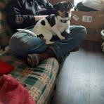 Nancy Forbush - Facebook