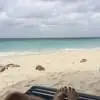 Nancy Forcier - @nancy.forcier - TikTok