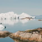 Nancy Forde - @tundra.doc - Instagram