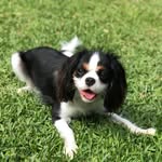 Nancy Fore - @fore.nancy - Instagram