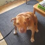 Nancy Forest - @nancy.forest - Instagram