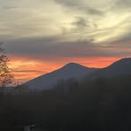 Nancy Forest - Facebook