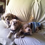 Nancy Forlines - Facebook