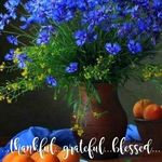 Nancy Forney - @nancy.forney.54 - Instagram