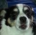 Nancy Forney - Facebook