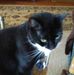 Nancy Fraley - Facebook