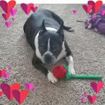 Nancy Frame - Facebook