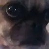 Nancy Franey - @nancy.franey - TikTok