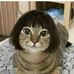 Nancy Fredrickson - Facebook