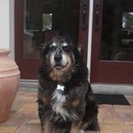 Nancy Freese - @freesenancy - Instagram