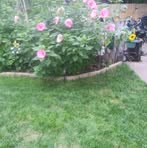 Nancy Freeze Hydo - Facebook