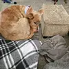 Nancy E Frey Evert - @nancy.e.frey.ever - TikTok