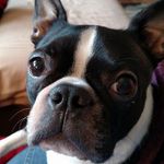 Nancy Frey Patterson - @nanster1960 - Instagram