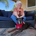 Nancy E. Fried - Facebook
