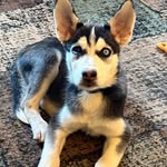 Nancy Friedman - @nancy.friedman - Instagram