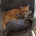 Nancy Friedlander - Facebook