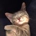 Nancy Friedlander - Facebook