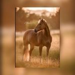 nancy friesen - @nancyfriesen722718 - Instagram