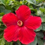 Nancy Friesen - @nancy_friesen2001_ - Instagram