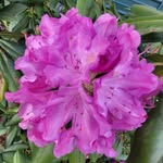 Nancy Fulk - @nancyfulk324 - Instagram