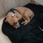 Nancy_Funke_Sie - @nancy_funke_sie_01 - Instagram