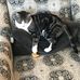 Nancy Gadsby - Facebook