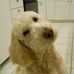 Nancy Gaffney - Facebook